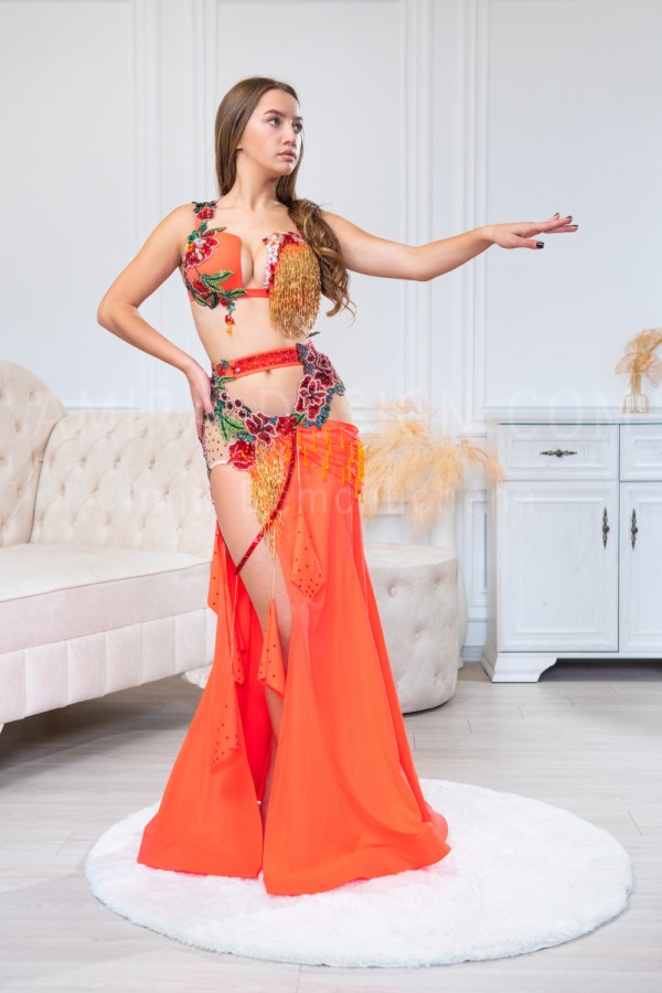 Professional bellydance costume (Classic 278 A_1)